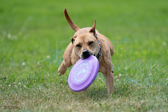 RielVisuals_20240728_131328_SJR05457