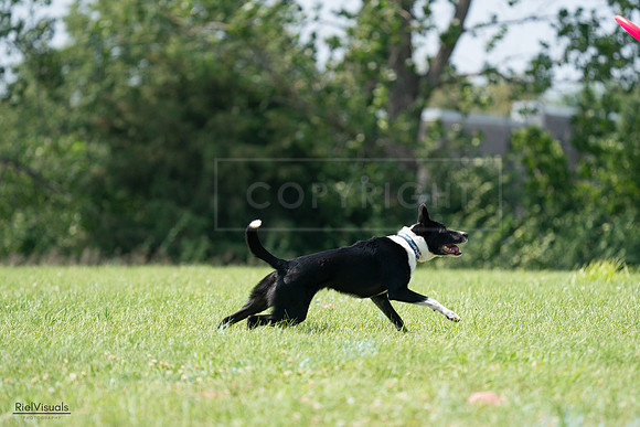 RielVisuals_20240728_144026_SJR08859