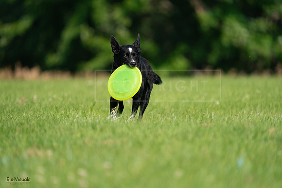 RielVisuals_20240727_094449_SJR07471