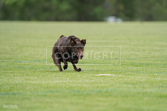 RielVisuals_20240525_162109_SJR04225