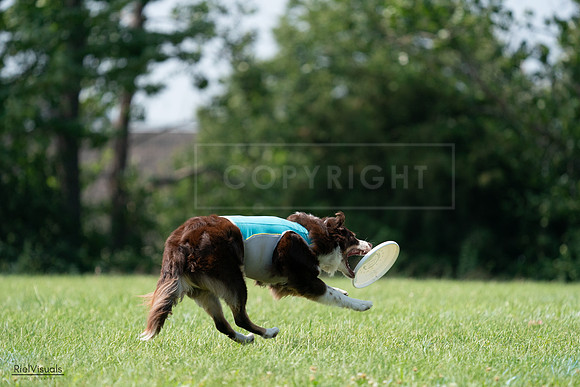 RielVisuals_20240728_144720_SJR09124