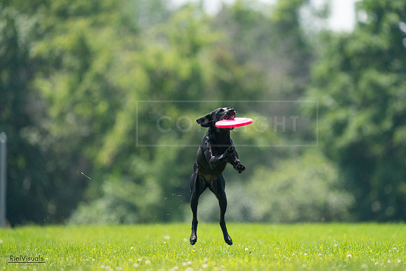 RielVisuals_20240727_131017_SJR07058