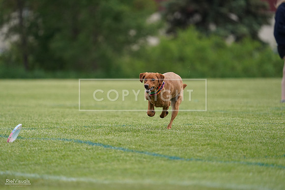 RielVisuals_20240525_160838_SJR03553