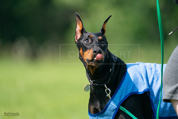 RielVisuals_20240728_103415_SJR08529