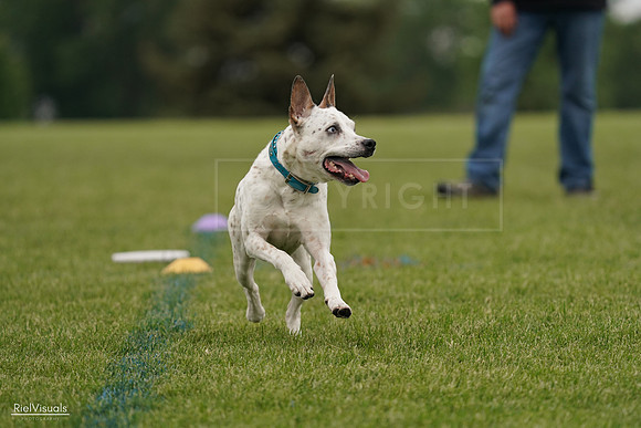 RielVisuals_20240526_134224_SJR08770