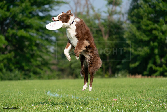 RielVisuals_20240727_093536_SJR06870