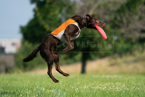 RielVisuals_20240727_092538_SJR06346