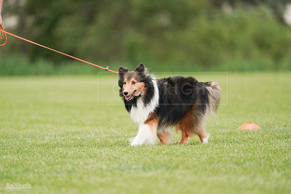 RielVisuals_20240527_141008_SJR01724
