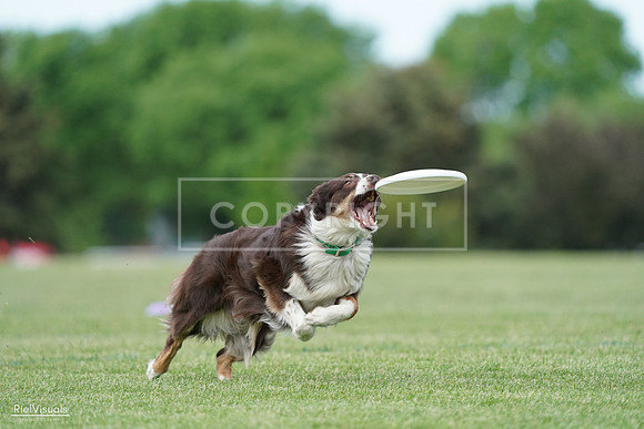 RielVisuals_20240525_090326_SJR09469