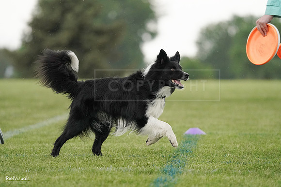 RielVisuals_20240526_095416_SJR01294