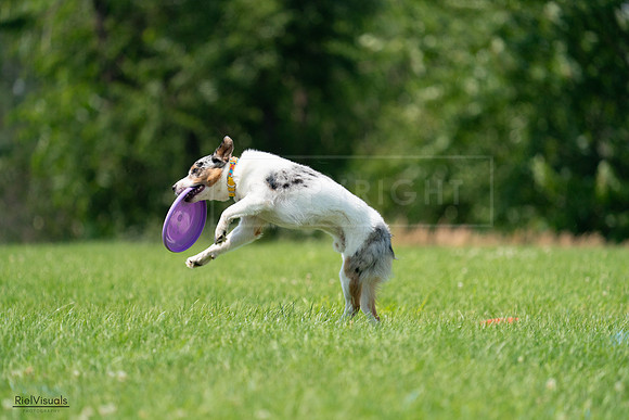 RielVisuals_20240727_140105_SJR09312