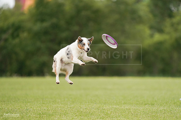 RielVisuals_20240527_140115_SJR01195
