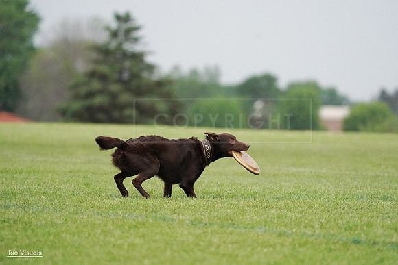 RielVisuals_20240527_090725_SJR05953