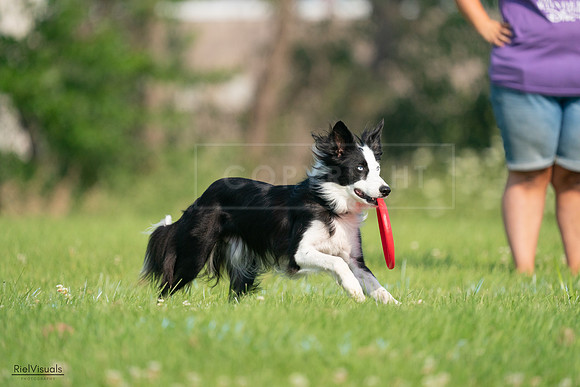 RielVisuals_20240727_092633_SJR06390