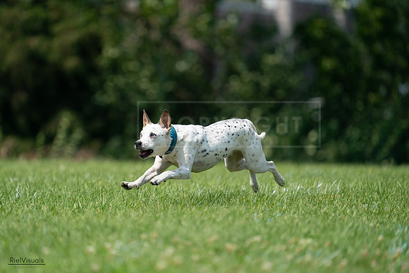 RielVisuals_20240727_134612_SJR08347
