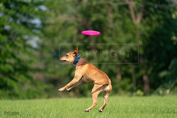 RielVisuals_20240727_093104_SJR06614