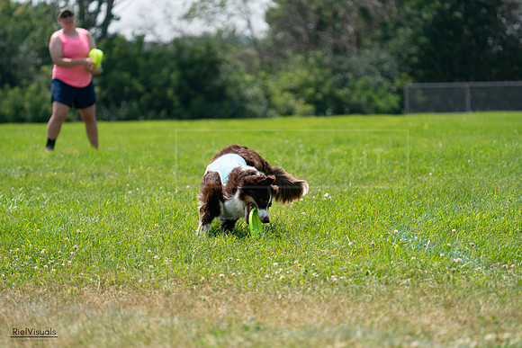 RielVisuals_20240728_132529_SJR06133
