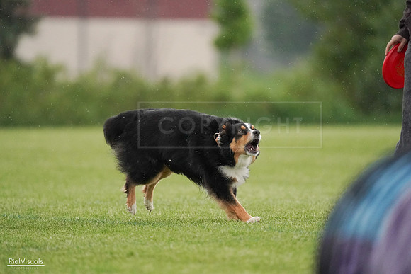 RielVisuals_20240526_094528_SJR00913