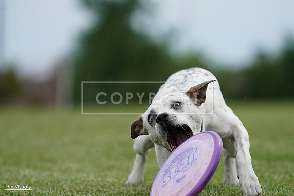 RielVisuals_20240525_160430_SJR03417