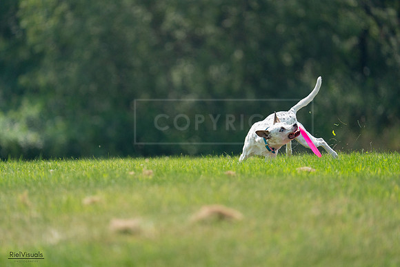 RielVisuals_20240727_120930_SJR04842