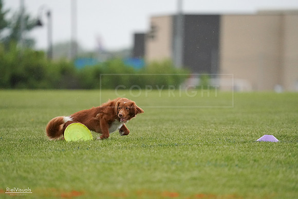 RielVisuals_20240526_093132_SJR00294