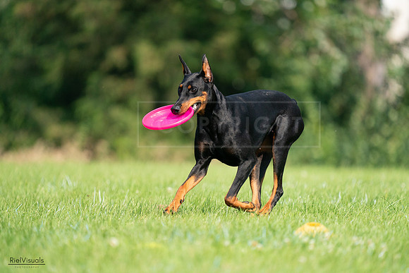 RielVisuals_20240727_100534_SJR08526