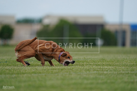 RielVisuals_20240525_161905_SJR04066