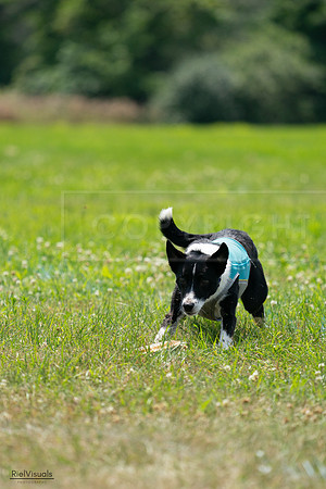 RielVisuals_20240728_132731_SJR06260