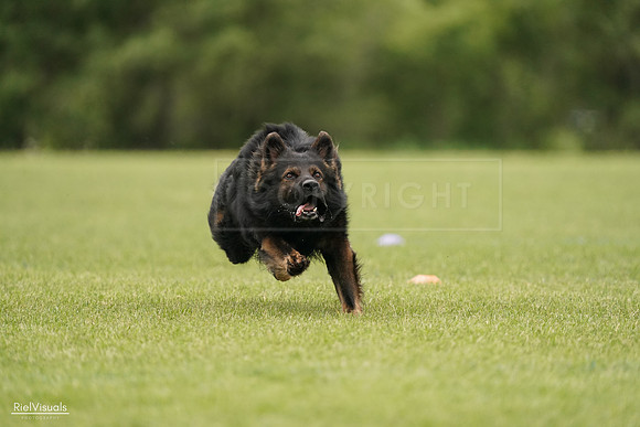 RielVisuals_20240527_132943_SJR00008