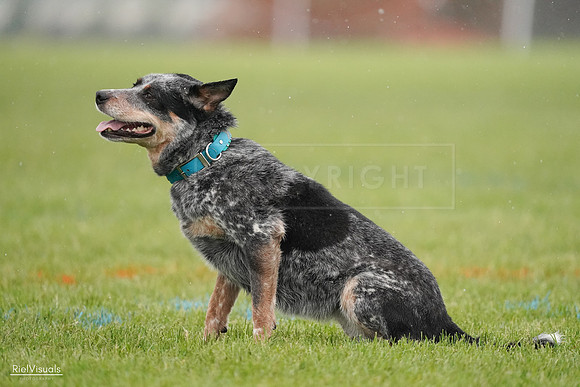 RielVisuals_20240527_105059_SJR01860