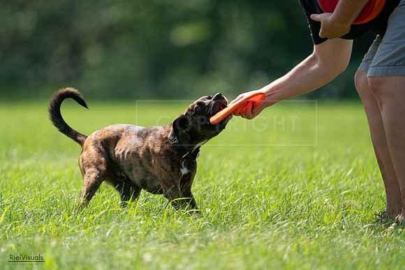 RielVisuals_20240728_151822_SJR00556