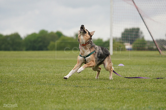 RielVisuals_20240527_133353_SJR00227