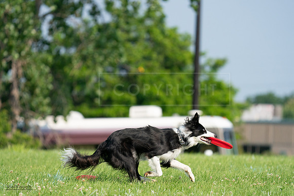 RielVisuals_20240727_092732_SJR06459