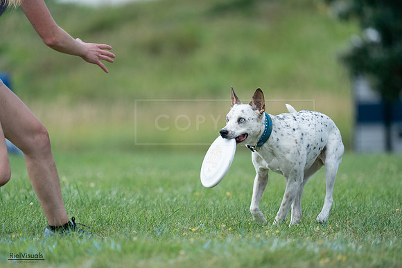 RielVisuals_20240727_145132_SJR01412