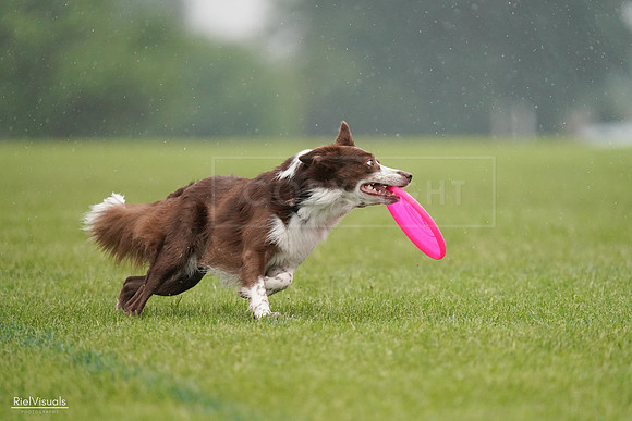 RielVisuals_20240527_104350_SJR01381