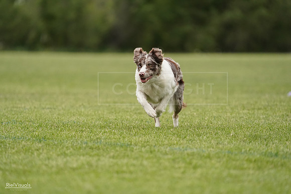 RielVisuals_20240526_132929_SJR07934