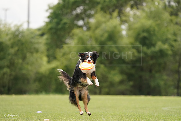 RielVisuals_20240527_132817_SJR09903
