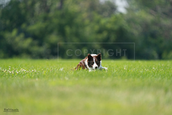 RielVisuals_20240727_115603_SJR04313