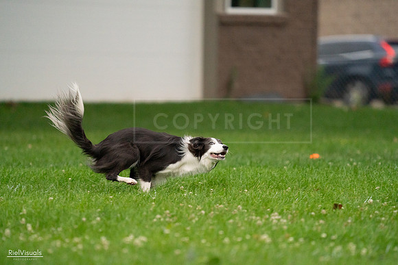 RielVisuals_20240722_192707_SJR01035