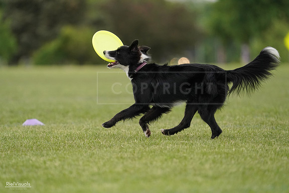 RielVisuals_20240526_132529_SJR07756