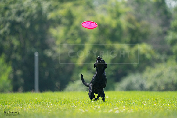 RielVisuals_20240727_131016_SJR07054