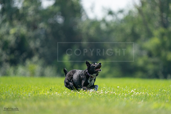 RielVisuals_20240727_125839_SJR06420