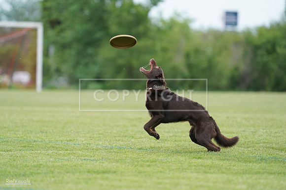 RielVisuals_20240525_162130_SJR04250
