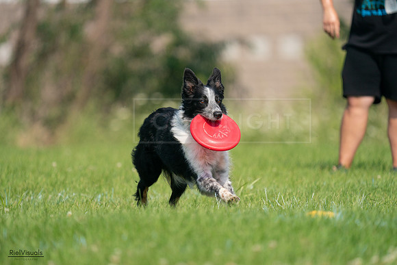 RielVisuals_20240727_100039_SJR08253