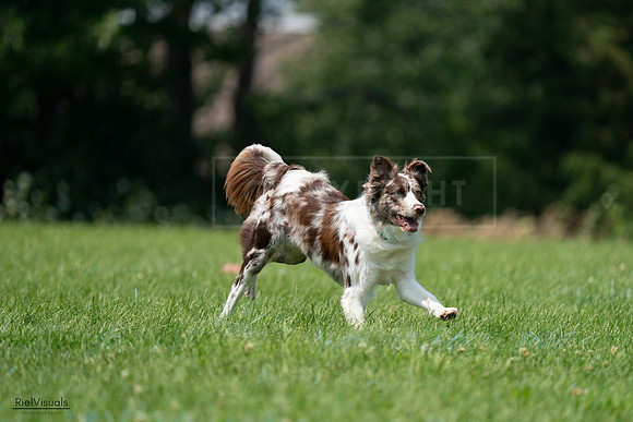 RielVisuals_20240727_133732_SJR07899