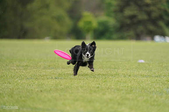 RielVisuals_20240527_132055_SJR09446