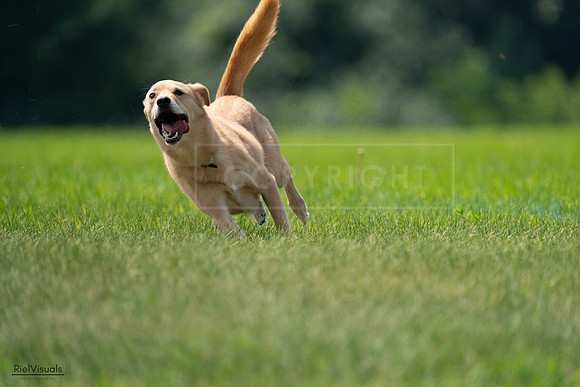 RielVisuals_20240727_120047_SJR04530