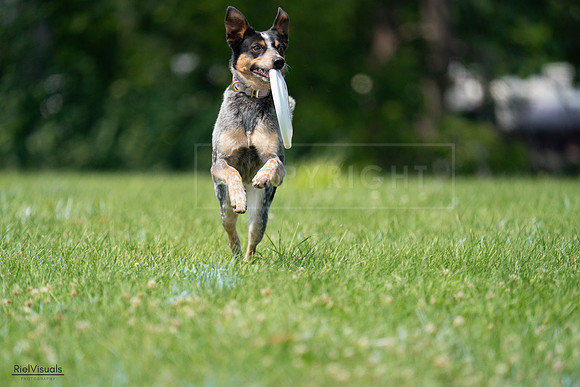 RielVisuals_20240727_134015_SJR08021