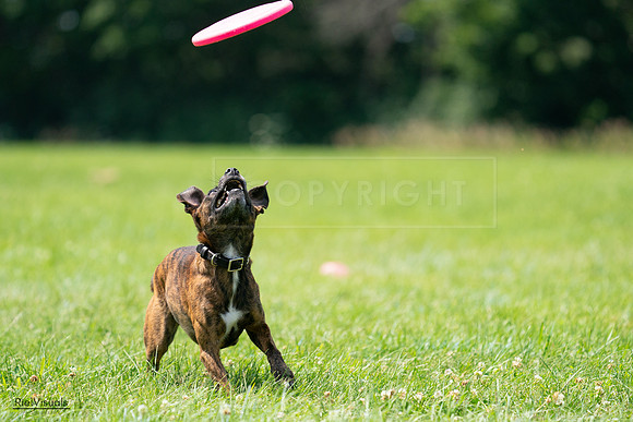 RielVisuals_20240728_124100_SJR04514