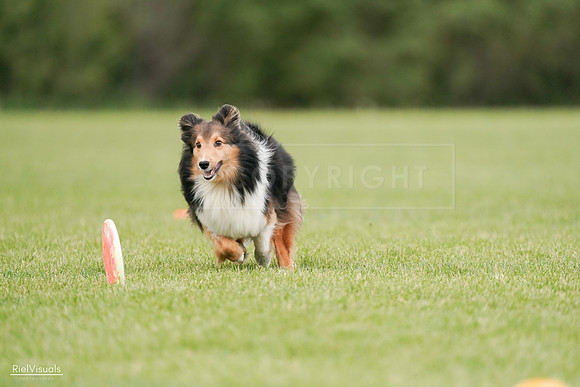 RielVisuals_20240527_140936_SJR01678